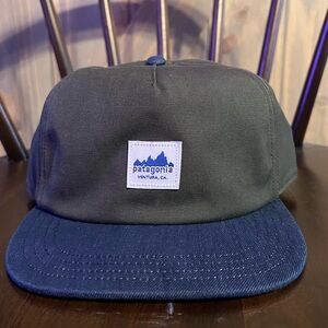 Patagonia Dark Green and Blue Cap